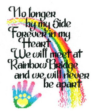 Let’s Cross The Rainbow Bridge