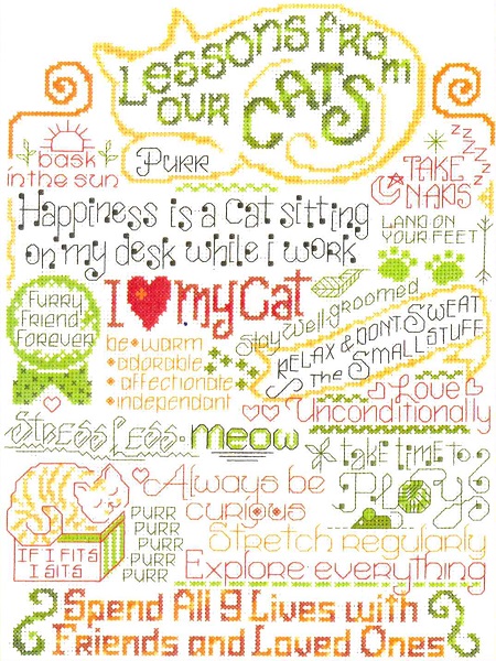 Let's Learn From Our Cat