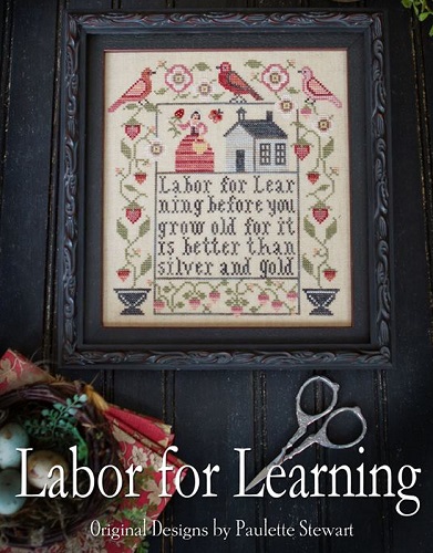 Labor for Learning