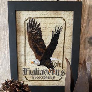 Eagle by Primitive Hare