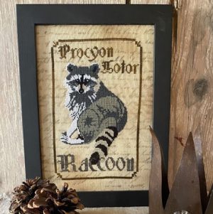 Raccoon by Primitive Hare