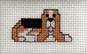 Beginner kit<br>Pets<br>Dog